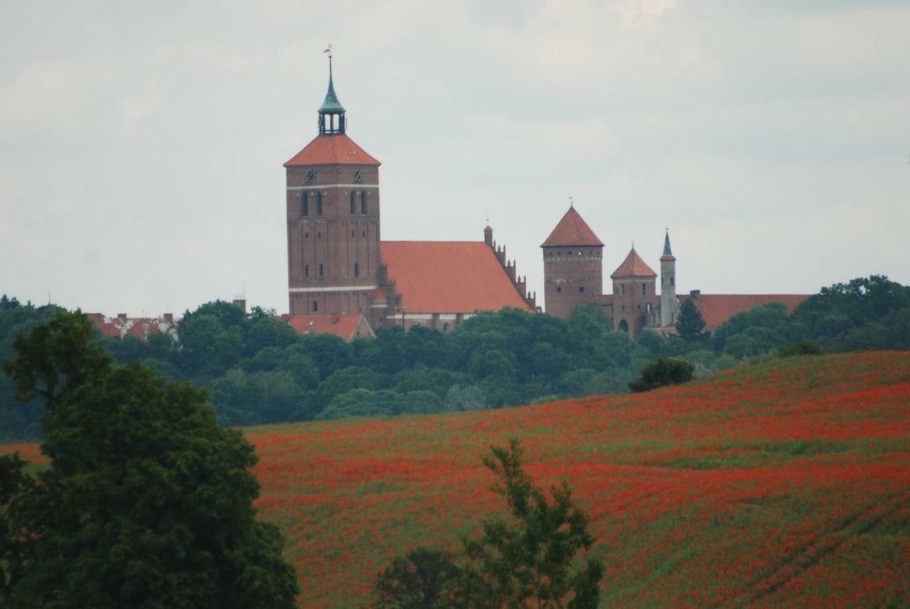Dom Goscinny Ogluszka Pilec Exterior photo